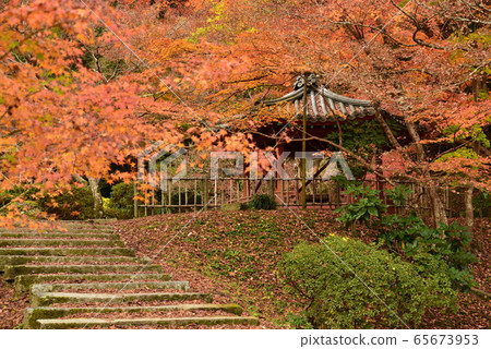 Momijidani Park Rokkakutei Momijidani Park Rokkakutei 65673953