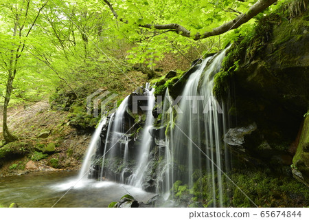[Shin-Onsen Town, Hyogo Prefecture] Sarutobi Falls 65674844