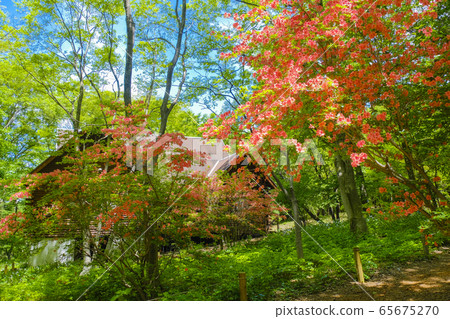 山津寺和木屋 65675270