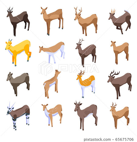 Deer icons set, isometric style Deer icons set, isometric style 65675706