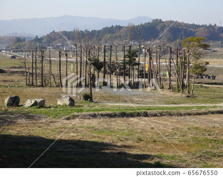 Great East Japan Earthquake Minamisoma City 65676550