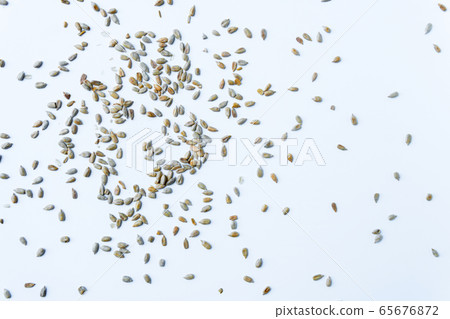 peeled sunflower seeds spread on white background 65676872