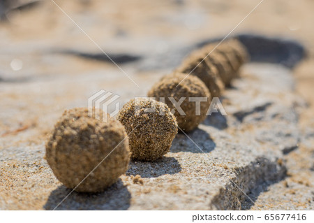 泥餃子 泥餃子 65677416