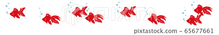 金魚線A（彩色） 65677661