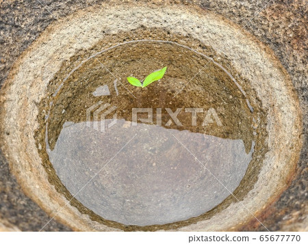 Mortar Mortar 65677770