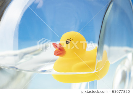 鴨子玩具漂浮在水中 65677830