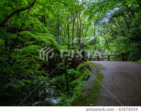 ba場瀑布自然公園[岡山縣浪速市] 65678039