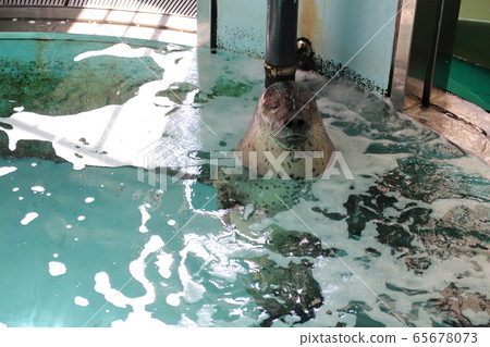 好看的印章 65678073