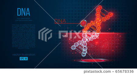 Abstract silhouette of the polygonal dna on blue background. Scanning, research and diagnosis of the human dna. Holographic low poly, wireframe vector. Thanks for watching 65678336