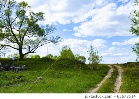 Beautiful spring landscape with a dirt road. Sunny Beautiful spring landscape with a dirt road. Sunny 65678514