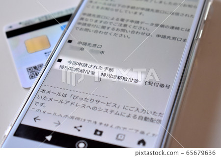 在智能手機上在線申請100,000日元的特殊固定收益 65679636