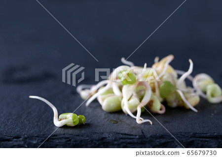 Pile of young sprouts of seeds macro on dark Pile of young sprouts of seeds macro on dark 65679730