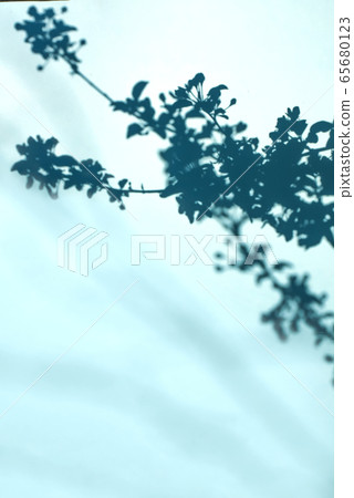 Top view of natural plant shadow of branches with flowers and leaves on blue background. Minimal summer concept Top view of natural plant shadow of branches with flowers and leaves on blue background. Minimal summer concept 65680123