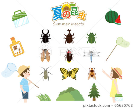 Cute summer insects set Cute summer insects set 65680768