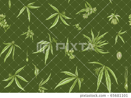 Hemp, Cannabis seamless pattern, background. 65681101