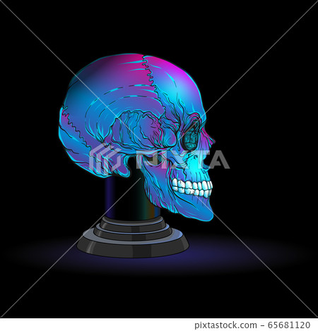 Human skulls for witchcraft. 65681120