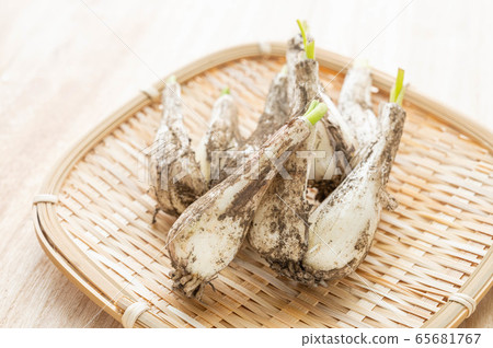 Scallions Scallions 65681767