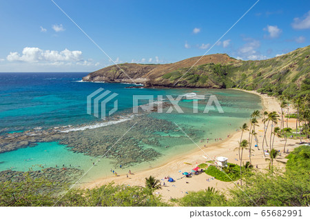 Hawaiian landscape (Hanauma Bay) Hawaiian landscape (Hanauma Bay) 65682991