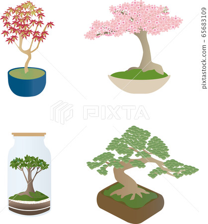 Four types of bonsai such as autumn leaves, cherry blossoms, pine trees, bottled plants 65683109