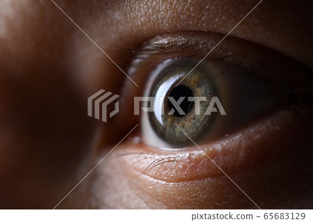 Male gray green colored left eye in low light technique Male gray green colored left eye in low light technique 65683129