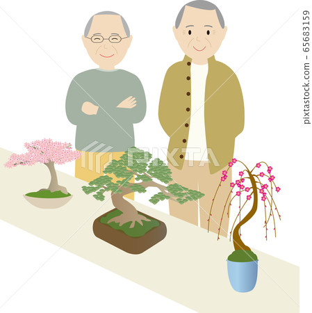 Two men appreciating the Bonsai of Sakuramatsuume Two men appreciating the Bonsai of Sakuramatsuume 65683159
