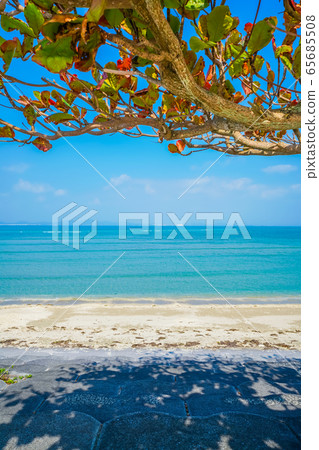 The sea of Okinawa 65685508