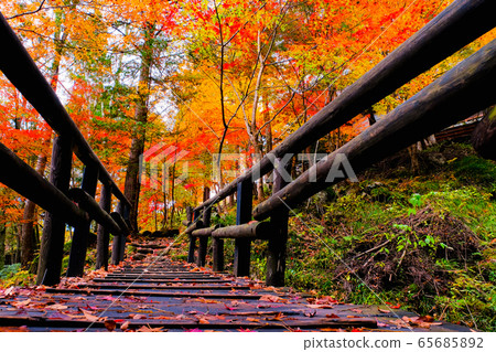Scenery of Tsukechikyo / Fudo Park (autumn) Scenery of Tsukechikyo / Fudo Park (autumn) 65685892