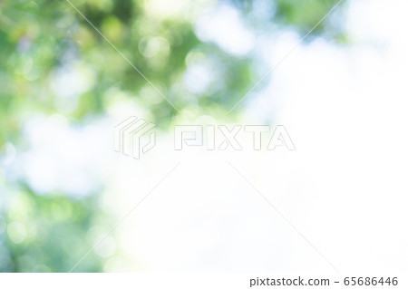 新鮮的綠色模糊散景 新鮮的綠色模糊散景 65686446