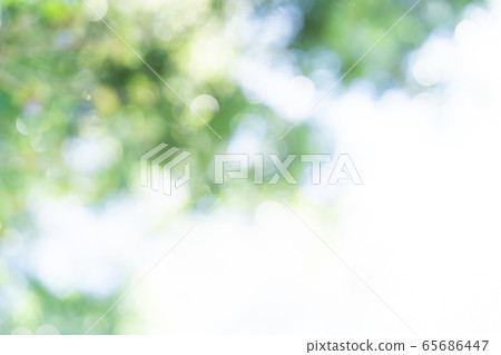 Fresh green blur bokeh Fresh green blur bokeh 65686447