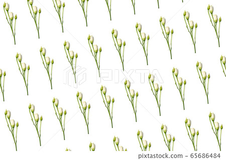 Flat lay flowers white eustomia on white background isolated pattern 65686484