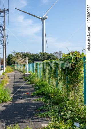 Wakasu Wakasu 65686983