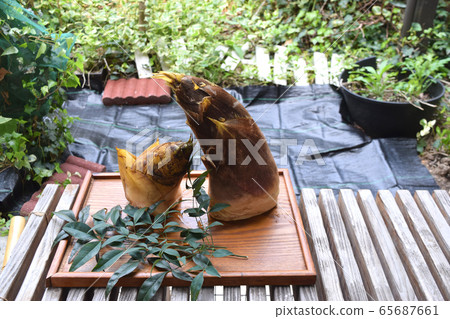Bamboo shoots Bamboo shoots 65687661