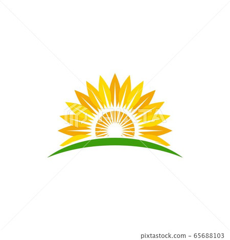 sunflower vector icon design 65688103