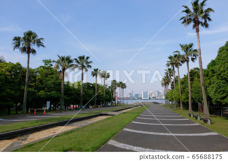 海風公園 65688175