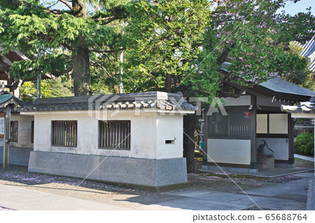 Honjoji (Chigasaki City) Spring Honjoji (Chigasaki City) Spring 65688764