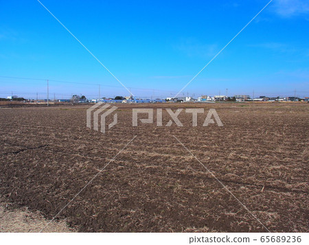 Early spring suburban rice field landscape 65689236