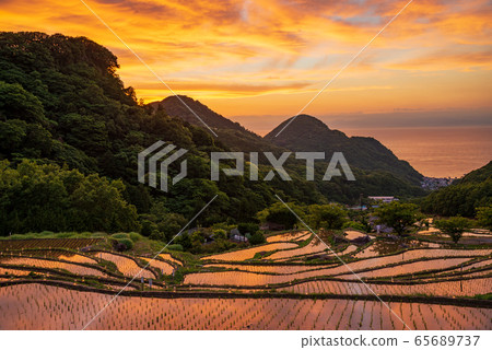 [Shizuoka Prefecture Matsuzaki Town] Ishibe terraced rice fields, Ishibe lights, candle night 65689737