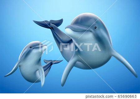 Charming dolphin family 65690663