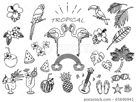 Tropical illustration set line drawing 65690941