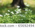 Two-wheeled grass 65692494