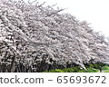 Invited by spring breeze 65693672