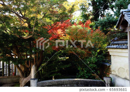 奈良縣奈良市東大寺的路,秋天的顏色 奈良縣奈良市東大寺的路,秋天的顏色 65693681