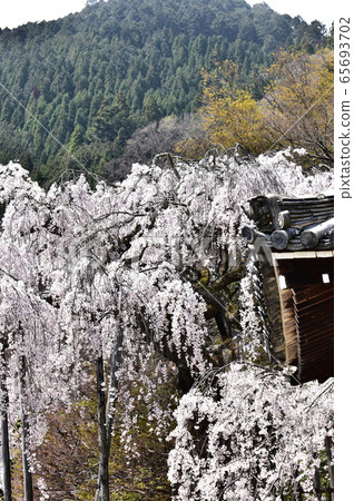 背景中的京都西山 背景中的京都西山 65693702