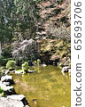Koike 2 for relaxation 65693706