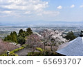 Good view 65693707
