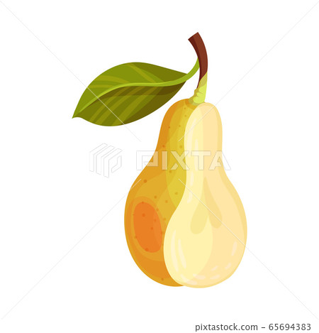 Halved Pear with Green Fibrous Leaf Showing Sweet Flesh Vector Illustration 65694383