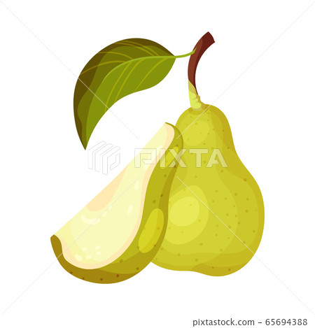Green Pear with Cut out Segment Showing Sweet Flesh Vector Illustration 65694388