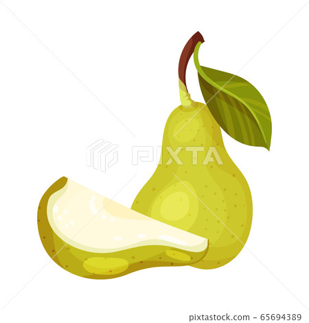 Pomaceous Halved Pear Fruit with Upper Flower Stalk and Green Fibrous Leaves Vector Illustration 65694389