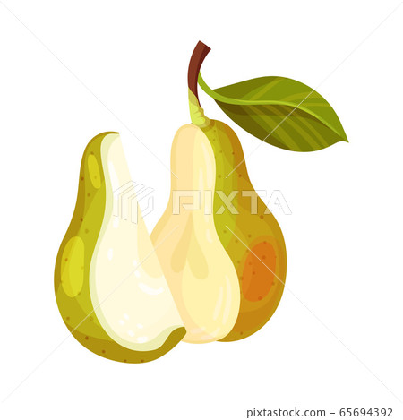 Pomaceous Halved Pear Fruit with Upper Flower Stalk and Green Fibrous Leaves Vector Illustration 65694392