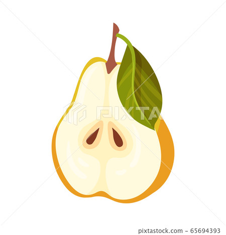 Pomaceous Halved Pear Fruit with Upper Flower Stalk and Green Fibrous Leaves Vector Illustration 65694393